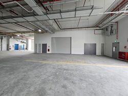 Ct Foodnex (D25), Factory #627799131